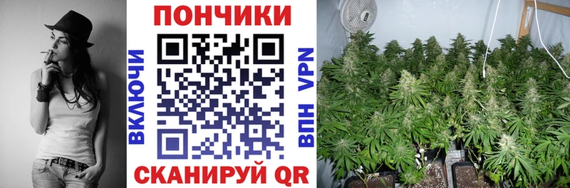 Где найти наркотики Северобайкальск ГАШ Каннабис A PVP Меф мяу мяу