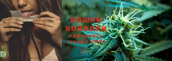 PSILOCYBIN Балабаново