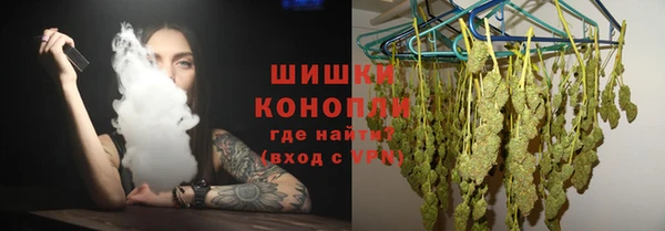 PSILOCYBIN Балабаново
