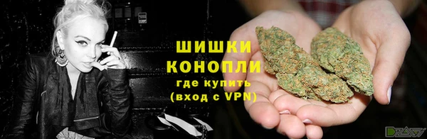 PSILOCYBIN Балабаново