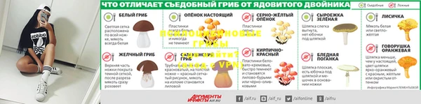 PSILOCYBIN Балабаново