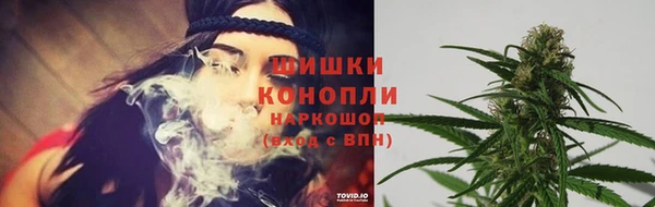apvp Балахна