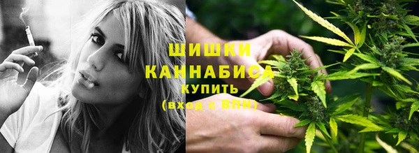 PSILOCYBIN Балабаново
