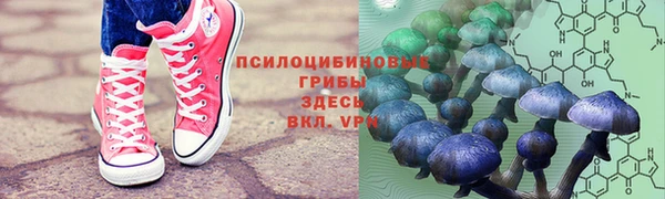 apvp Балахна