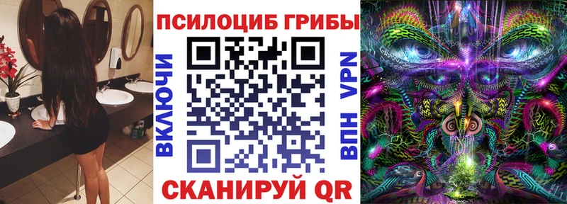 даркнет сайт  Северобайкальск  Псилоцибиновые грибы Magic Shrooms 
